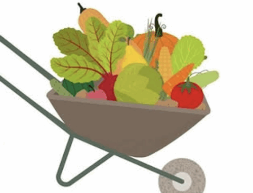 Now Recruiting: Summer 2025 AmeriCorps Community Garden Coordinators!